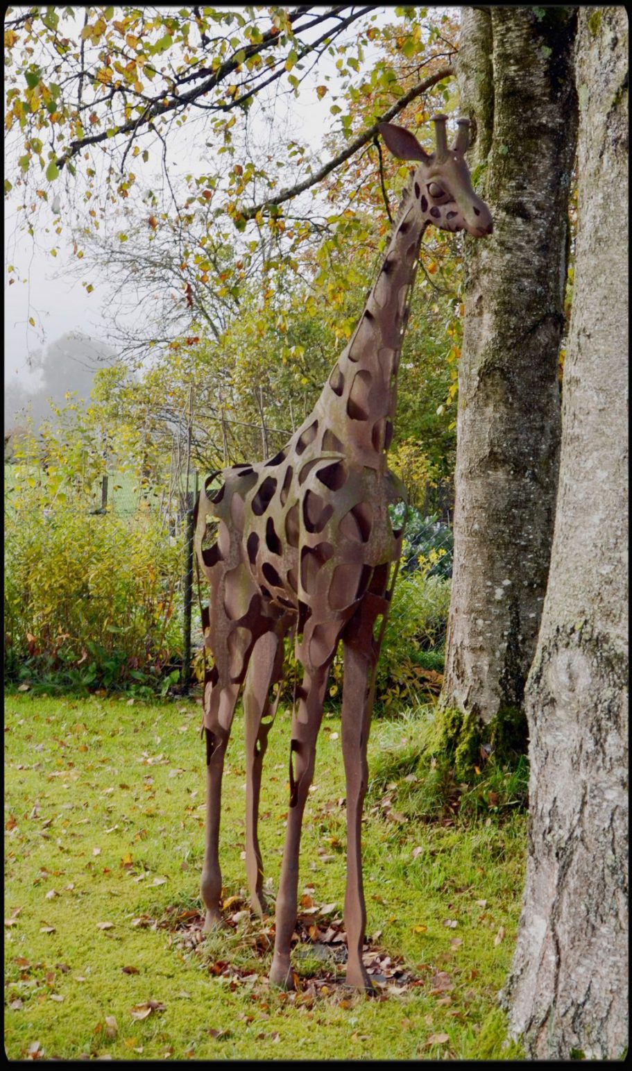Giraffe – Höhe: 2,5 m